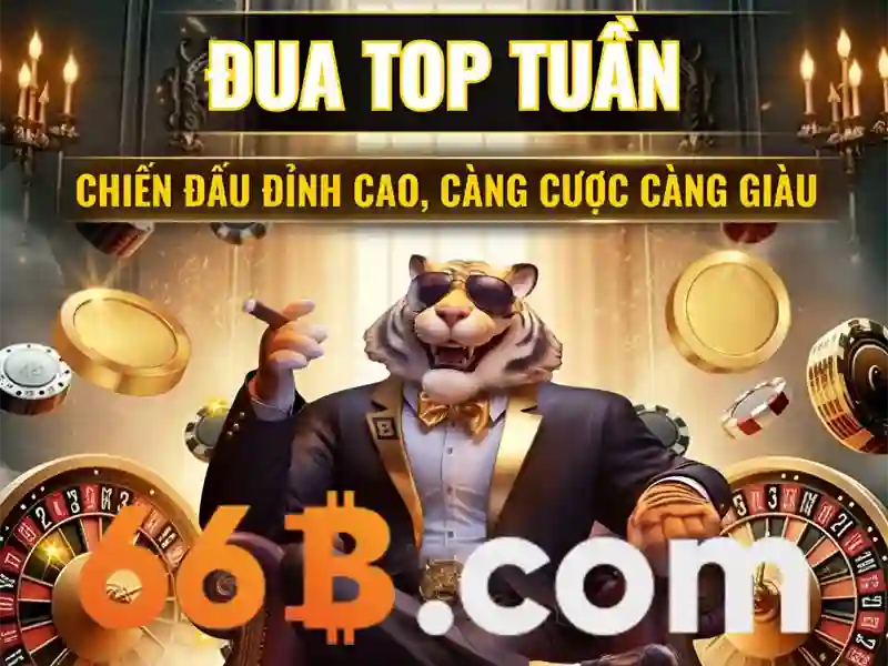 Ứng dụng của 66b trong truyền thông