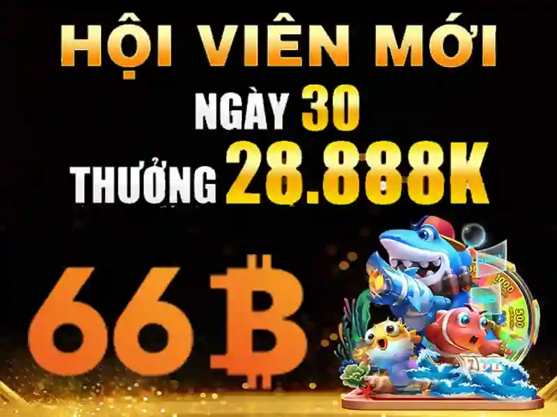 66b hoàn tiền – Trải nghiệm hoàn tiền khi mua sắm