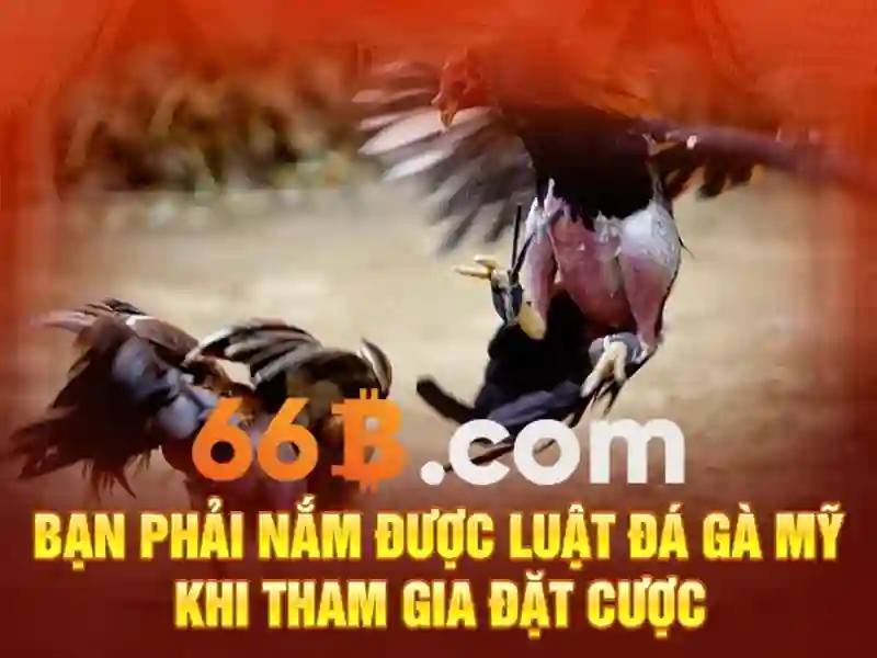 66b là gì trong thế giới trí tuệ nhân tạo
