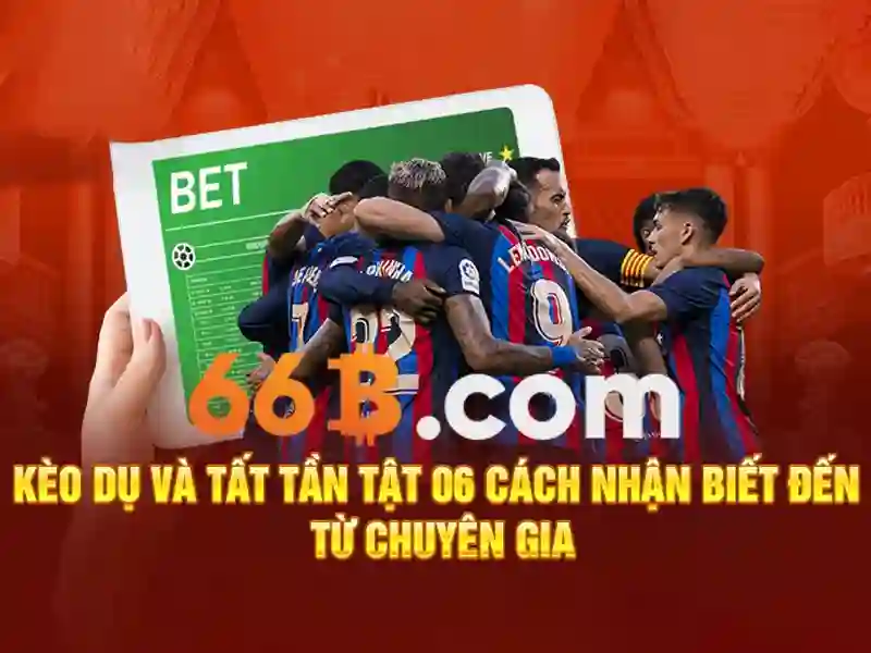 Trải nghiệm người dùng và phản hồi cộng đồng