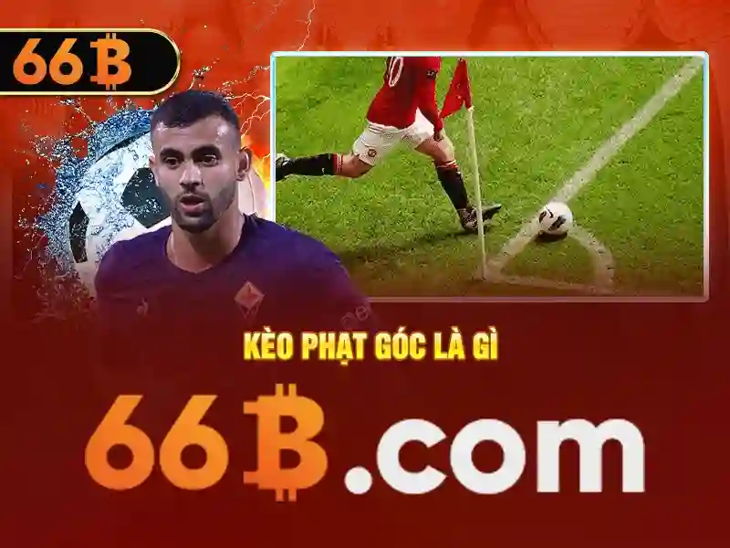 66b android - Đột phá di động và trải nghiệm toàn diện