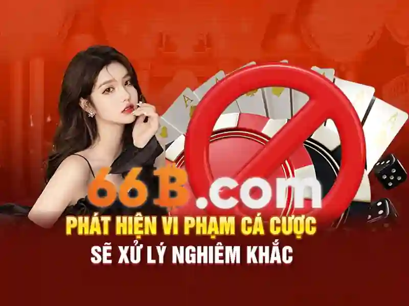 Trải nghiệm người dùng và phản hồi cộng đồng – Chân thực và cảm nhận sống động