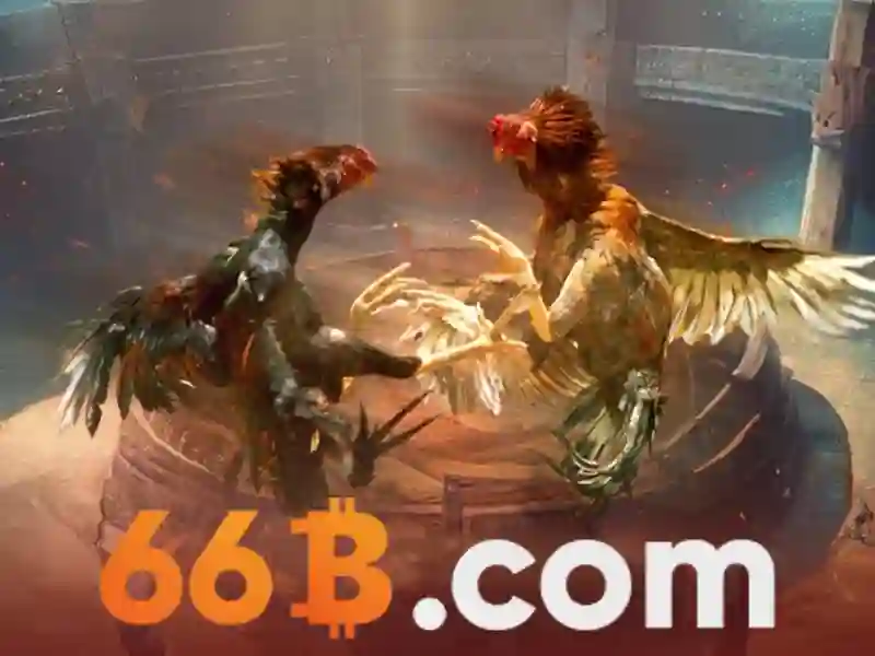 Đánh giá 66b – Giới thiệu về một trải nghiệm độc đáo