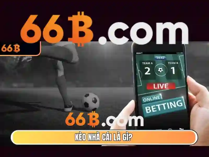 66B là gì và tại sao nó được quan tâm
