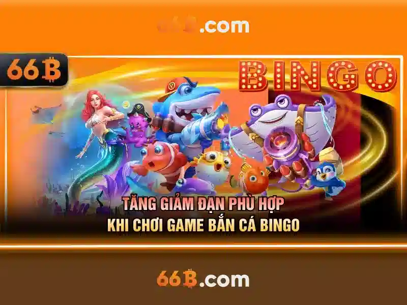 66b app – Hành trình trải nghiệm và Giá trị đột phá