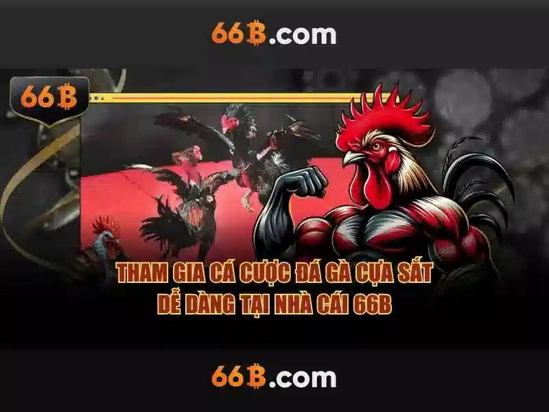 66b trong văn hóa và công nghệ