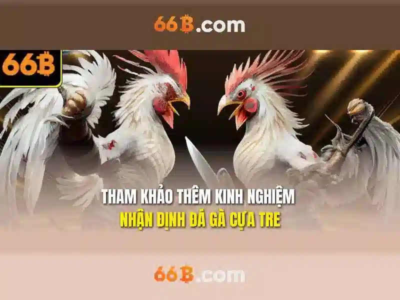 66b và nhận diện mẫu trong dữ liệu lớn