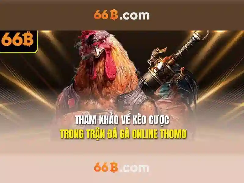 Mô hình 66B: Tổng quan và ứng dụng