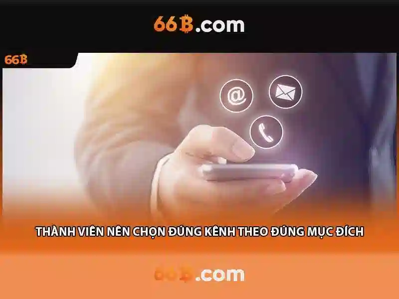 66b hoạt động bao lâu – hành trình khám phá và an toàn