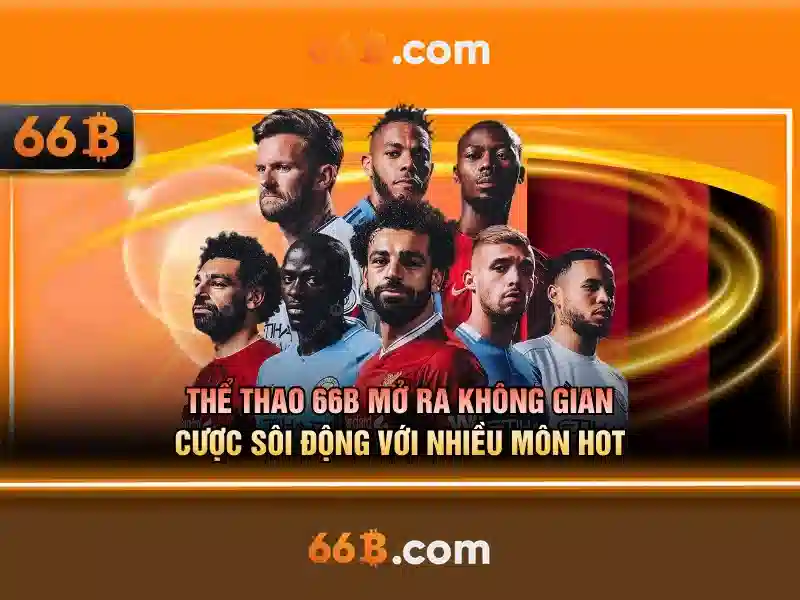 66B là gì và vì sao nó được chú ý