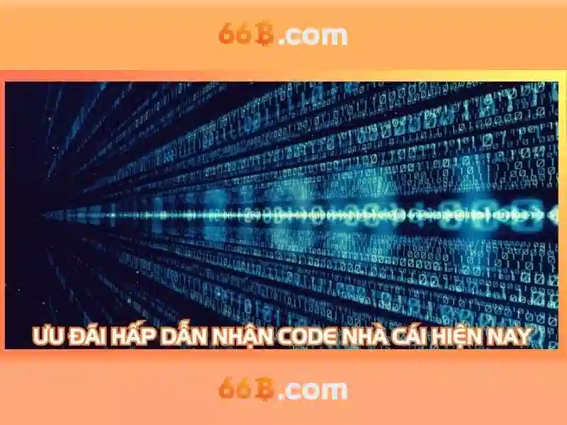 66B: một khái niệm và hành trình