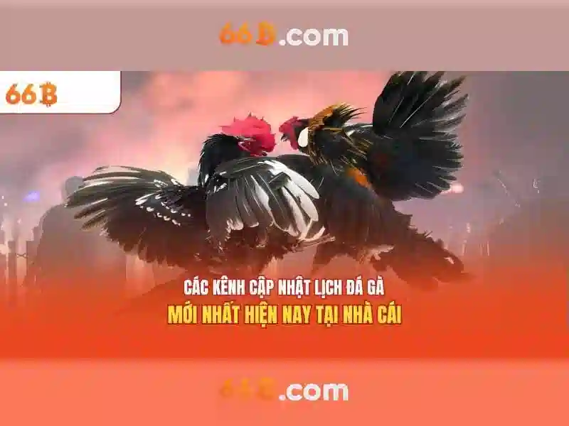Phát triển và tương lai