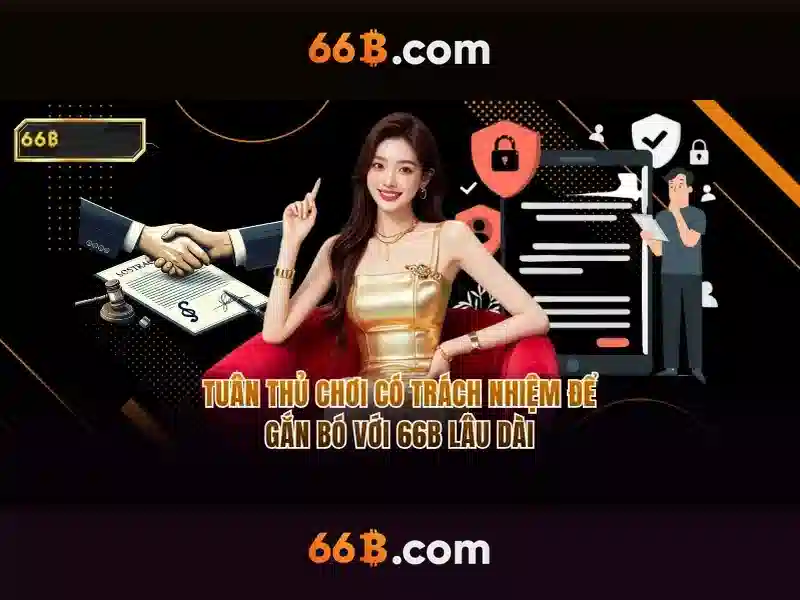 66b mới – hành trình đổi mới và trải nghiệm tuyệt vời
