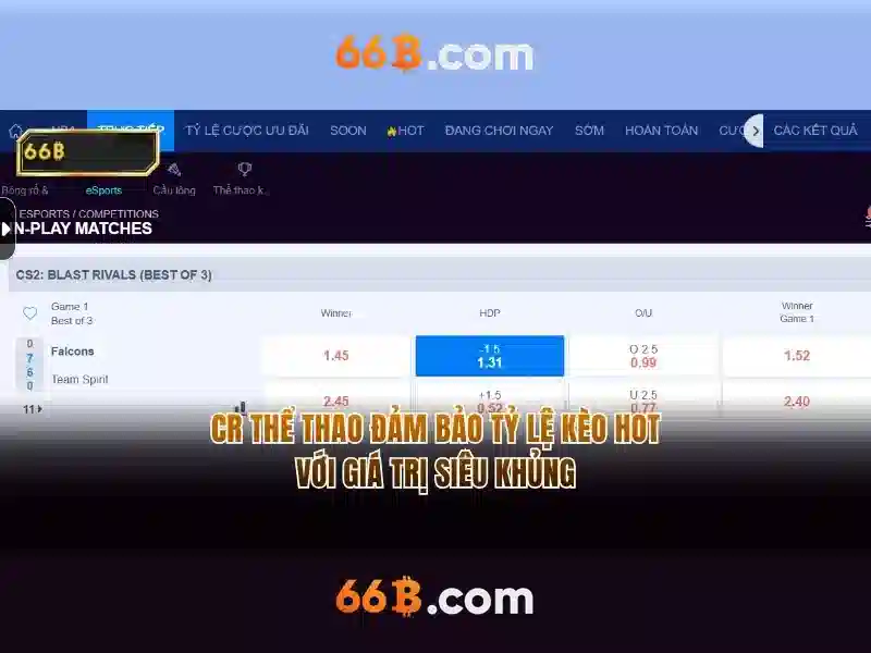 66b phan đăng lưu phường 5 phú nhuận tp.hcm – Tổng quan chủ đề và giá trị cốt lõi