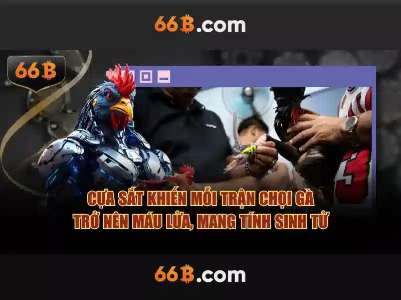 Ứng dụng và lợi ích của 66b