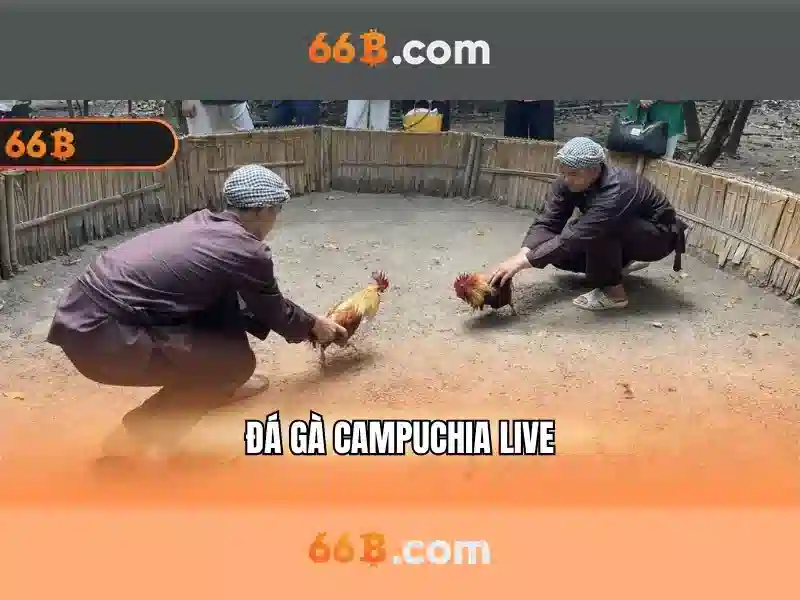 Hạn chế và thách thức