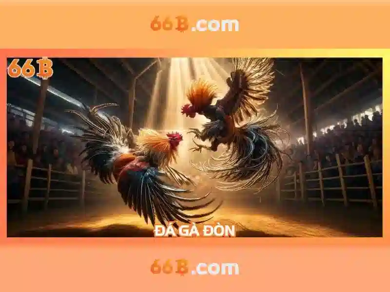 Sản phẩm và dịch vụ cốt lõi: Ứng dụng casino 66b