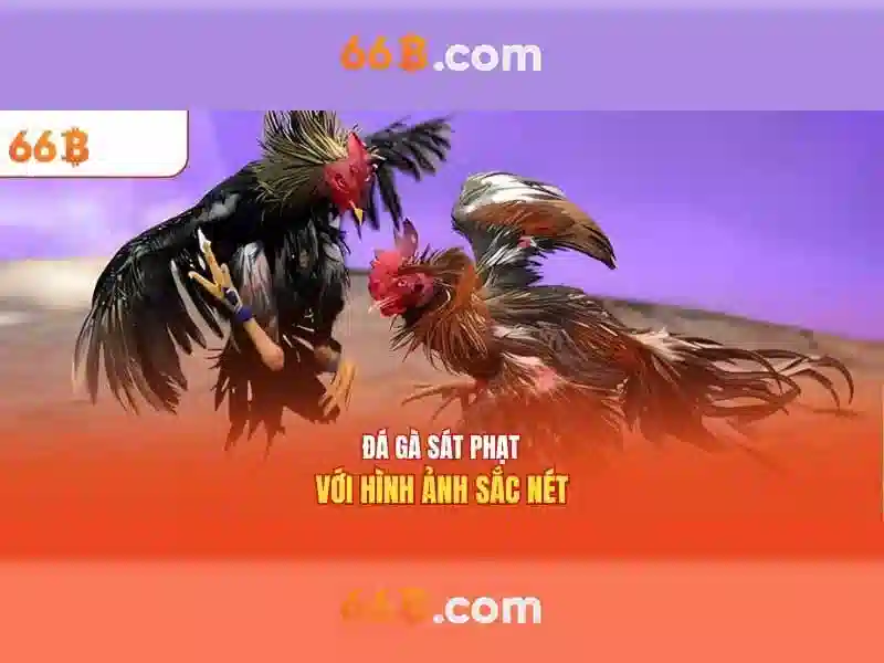 Hiệu suất và giới hạn