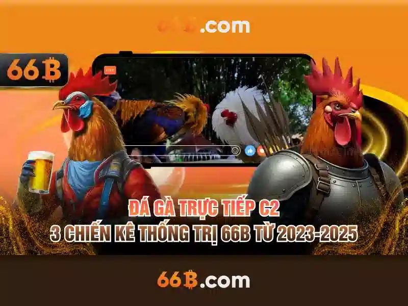 Ứng dụng thực tế của 66B