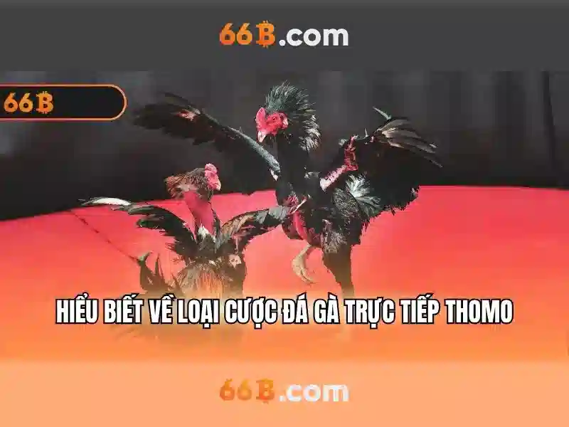 66B: một cái nhìn về mô hình 66B với 66 tỷ tham số