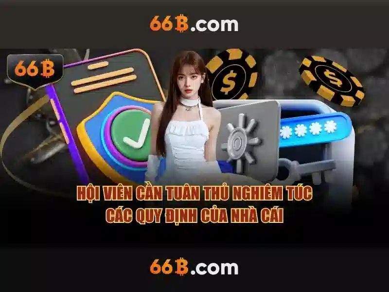 66b là gì? — khái niệm, nguồn gốc và ứng dụng