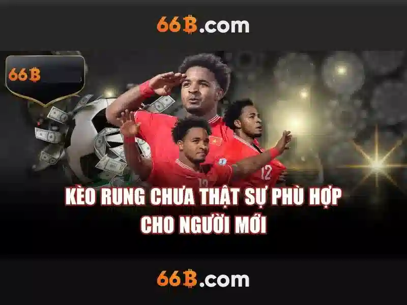 66b: Khái niệm, nguồn gốc và tác động