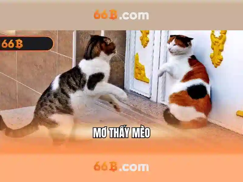 casino 66b: Khám phá thương hiệu và trải nghiệm đỉnh cao