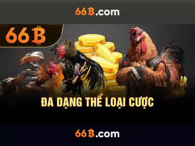 66b là gì?
