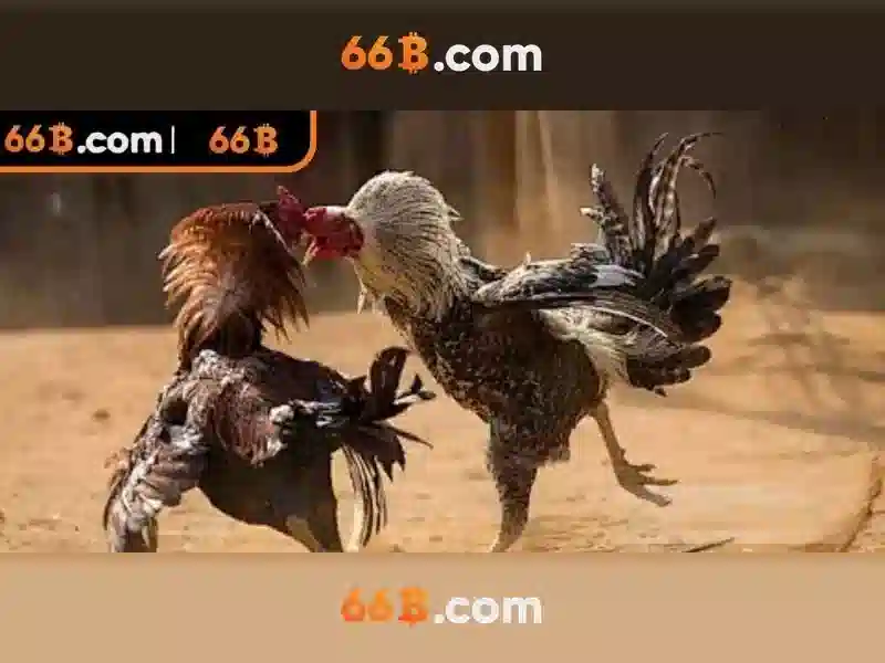66b và nguồn gốc của nó