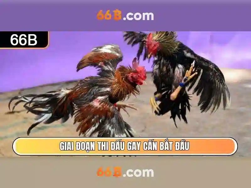Khả năng và giới hạn