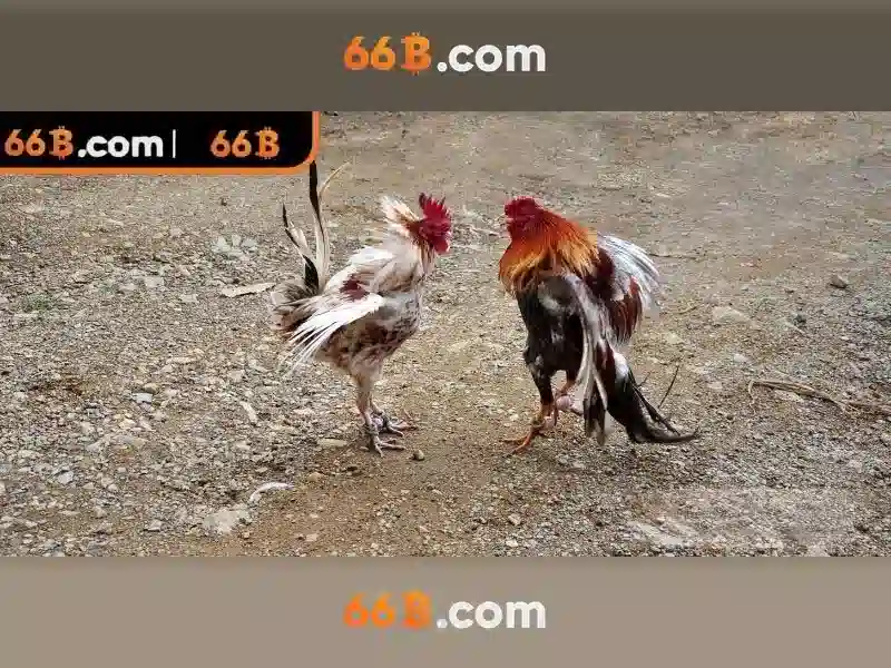 66b: định nghĩa và hành trình của một khái niệm công nghệ