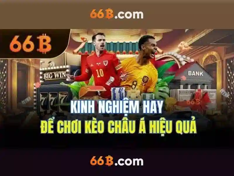66B: khái niệm và ứng dụng