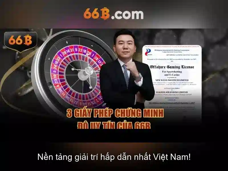66B là gì và tại sao nó quan trọng