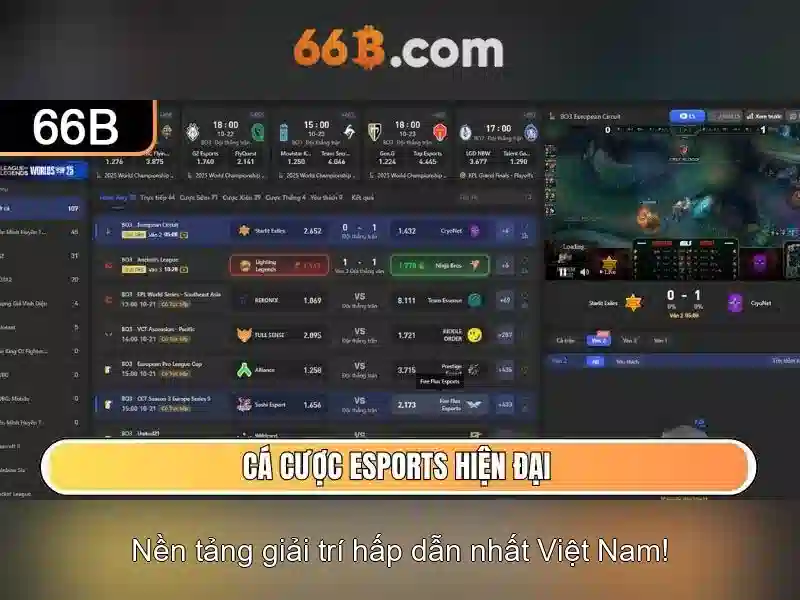 66b: một khái niệm và câu chuyện phía sau
