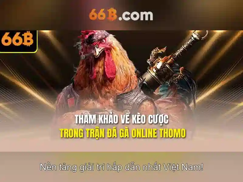 sony ecm-66b: âm thanh đỉnh cao cho sáng tạo nội dung