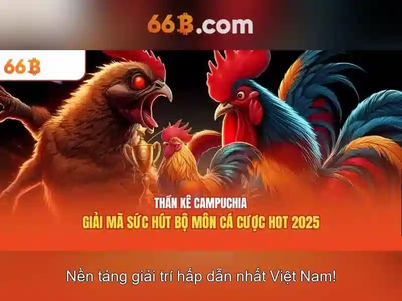 66b là gì