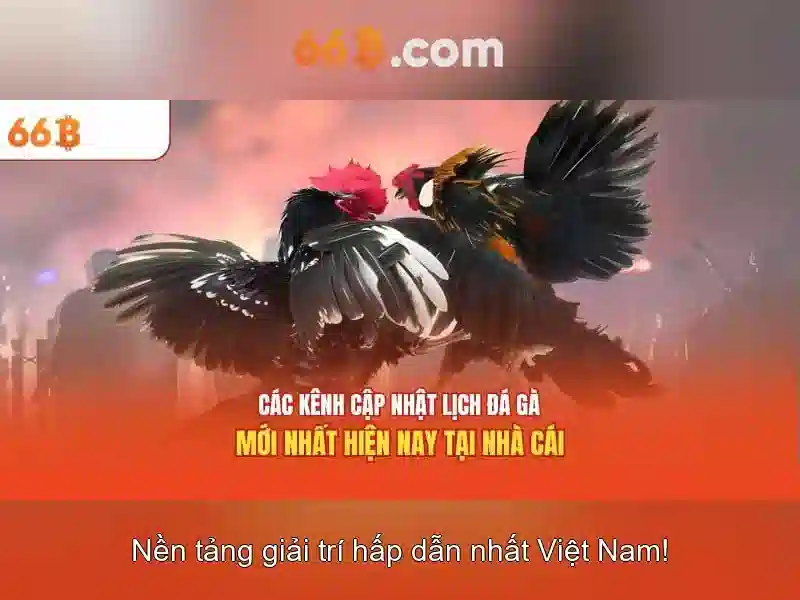 Đào tạo và dữ liệu