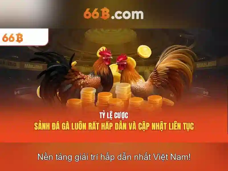 Đặc điểm và kích thước