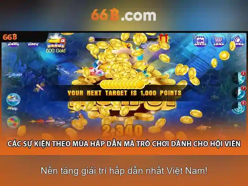 66b: một khái niệm và ý nghĩa