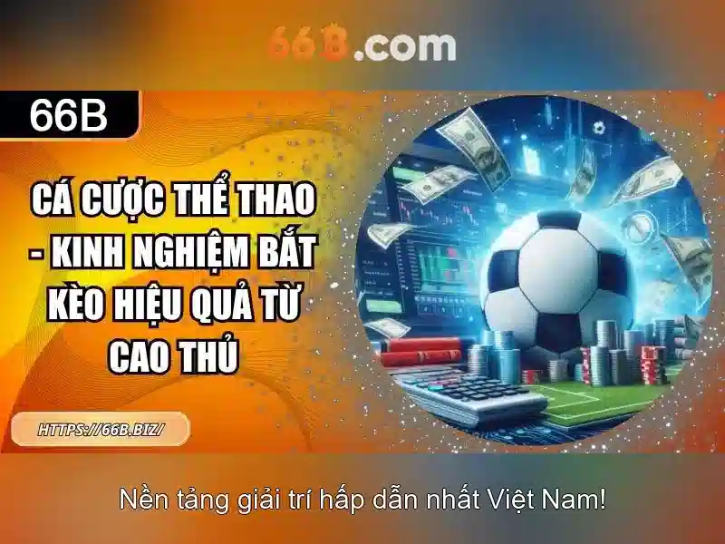 Khảo sát khái niệm 66b và vai trò của nó trong nhiều ngữ cảnh