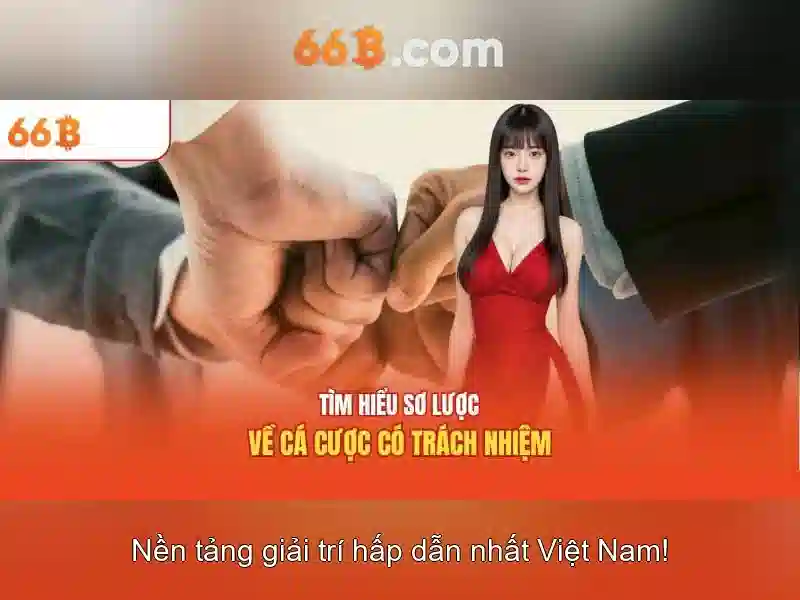 66b: khái niệm, nguồn gốc và ứng dụng