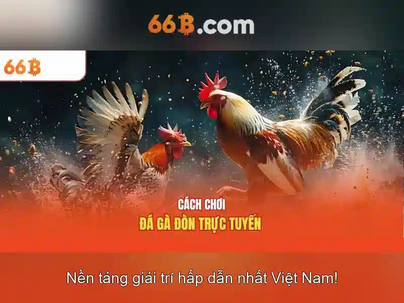 66b: một khái niệm và câu chuyện phía sau