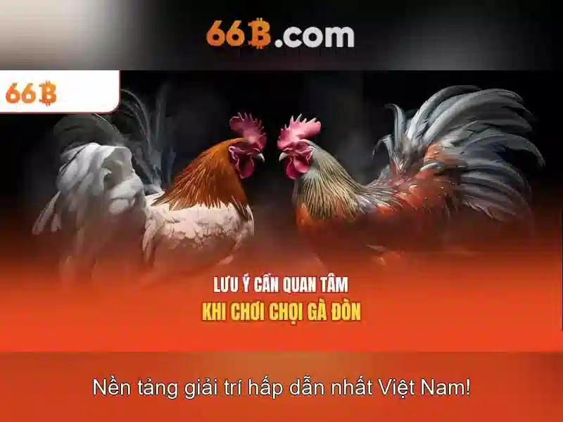 Khám phá mô hình 66B: kích thước, kiến trúc và ứng dụng