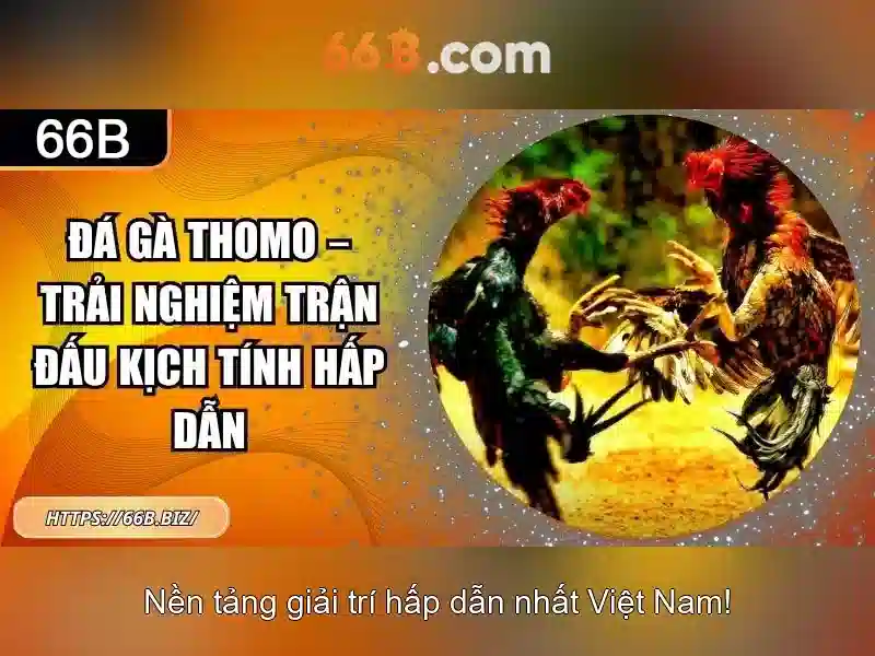 Kiến trúc và tham số