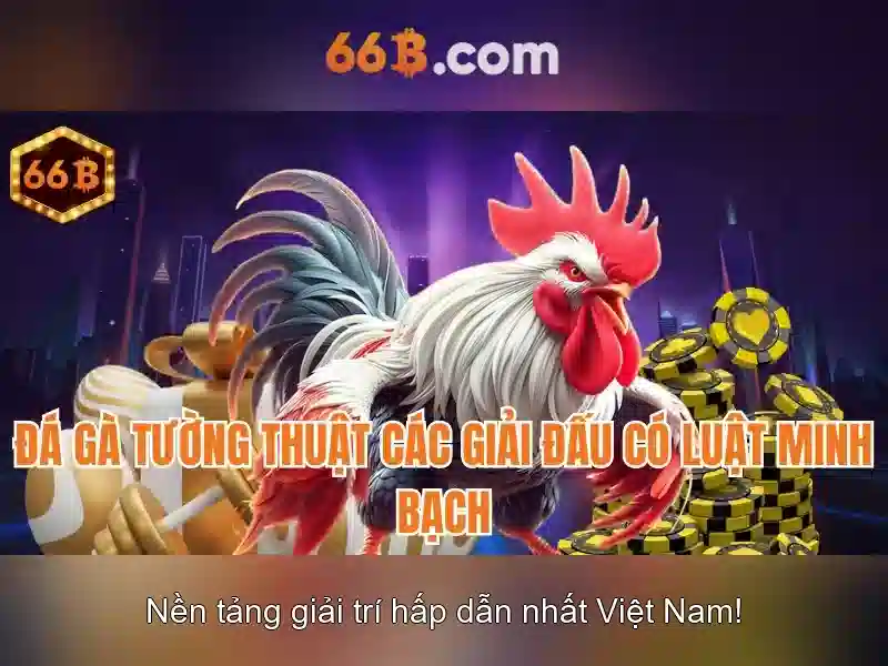 66b nguyễn sỹ sách trường con – Hành trình giáo dục và cộng đồng