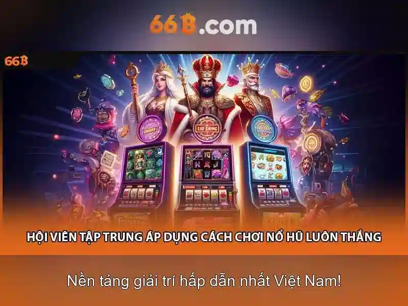 66b là gì và các ứng dụng