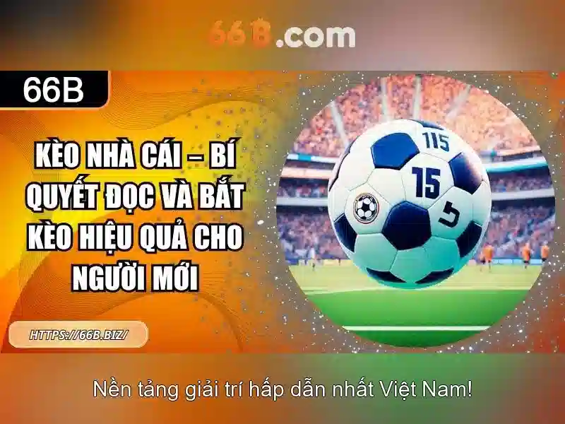 66B: Mô hình ngôn ngữ lớn và tiềm năng của nó