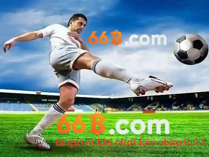 Trải nghiệm người dùng và phản hồi cộng đồng về 66b bet
