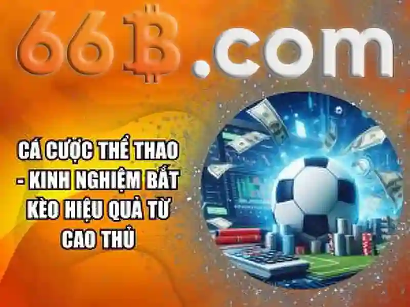 66b: khái niệm, đặc điểm và ứng dụng