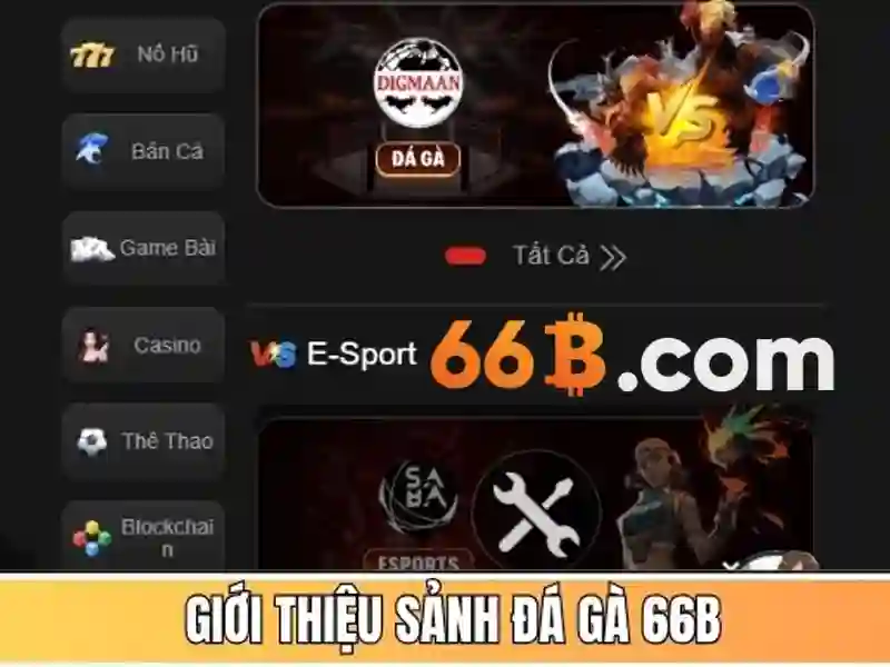66b: một khái niệm và ý nghĩa